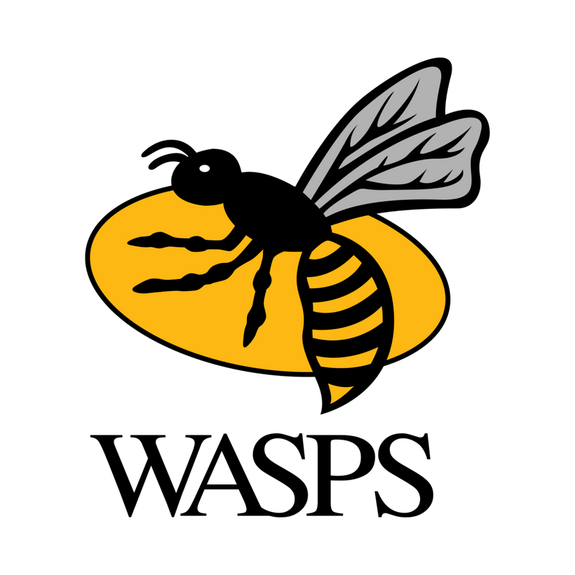 Wasps Rugby
