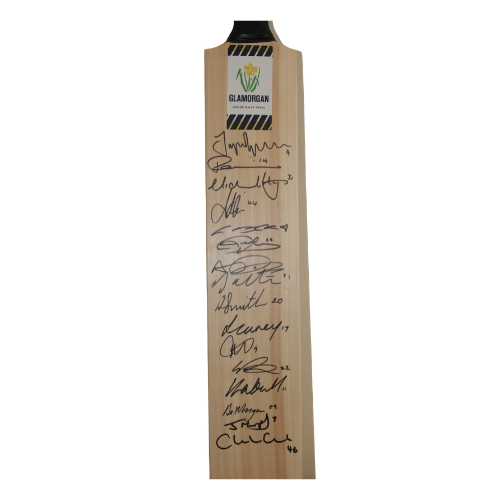 CRICKET MEMORABILIA