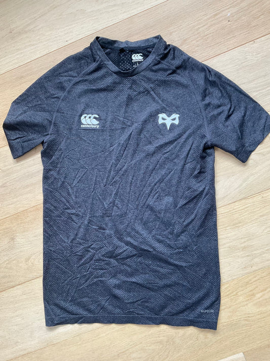 Ospreys - Gym T-Shirt [Grey & Black]