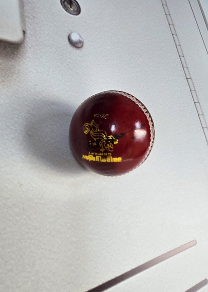 David Gower signed Salamander Academy Cricket Ball [Red]